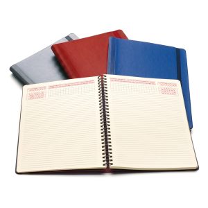 Agenda Idea